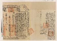 藏品(咸豐八年姚南星立杜賣盡根田厝契字與光緒十七年契尾)的圖片